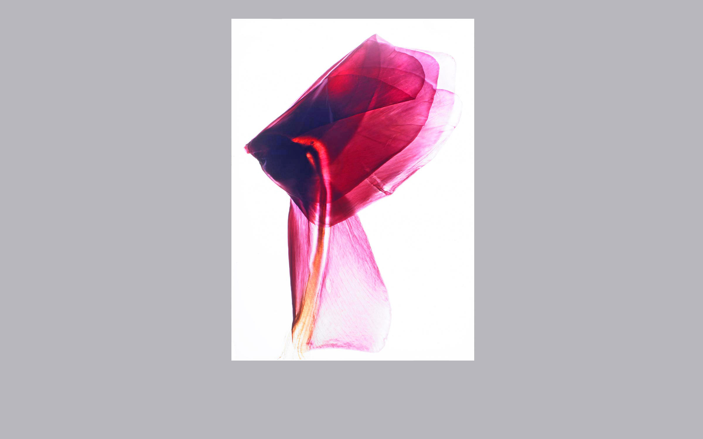 lorem ipsum dolor sit