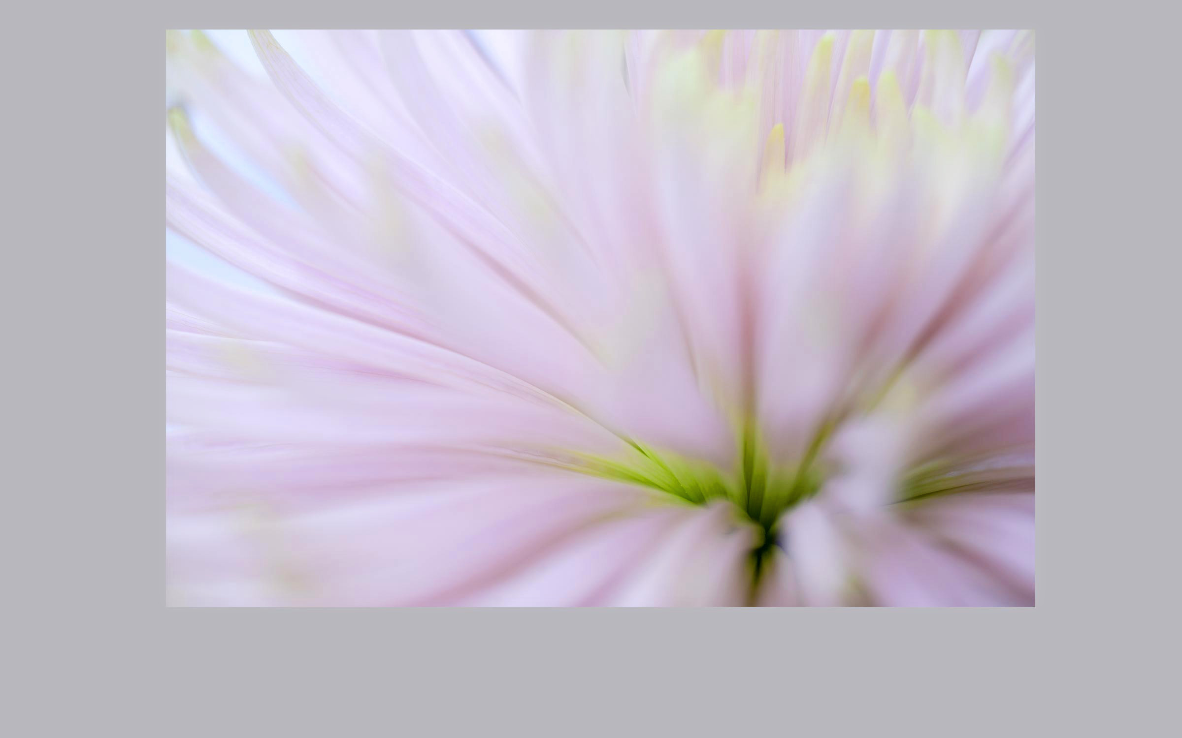 lorem ipsum dolor sit