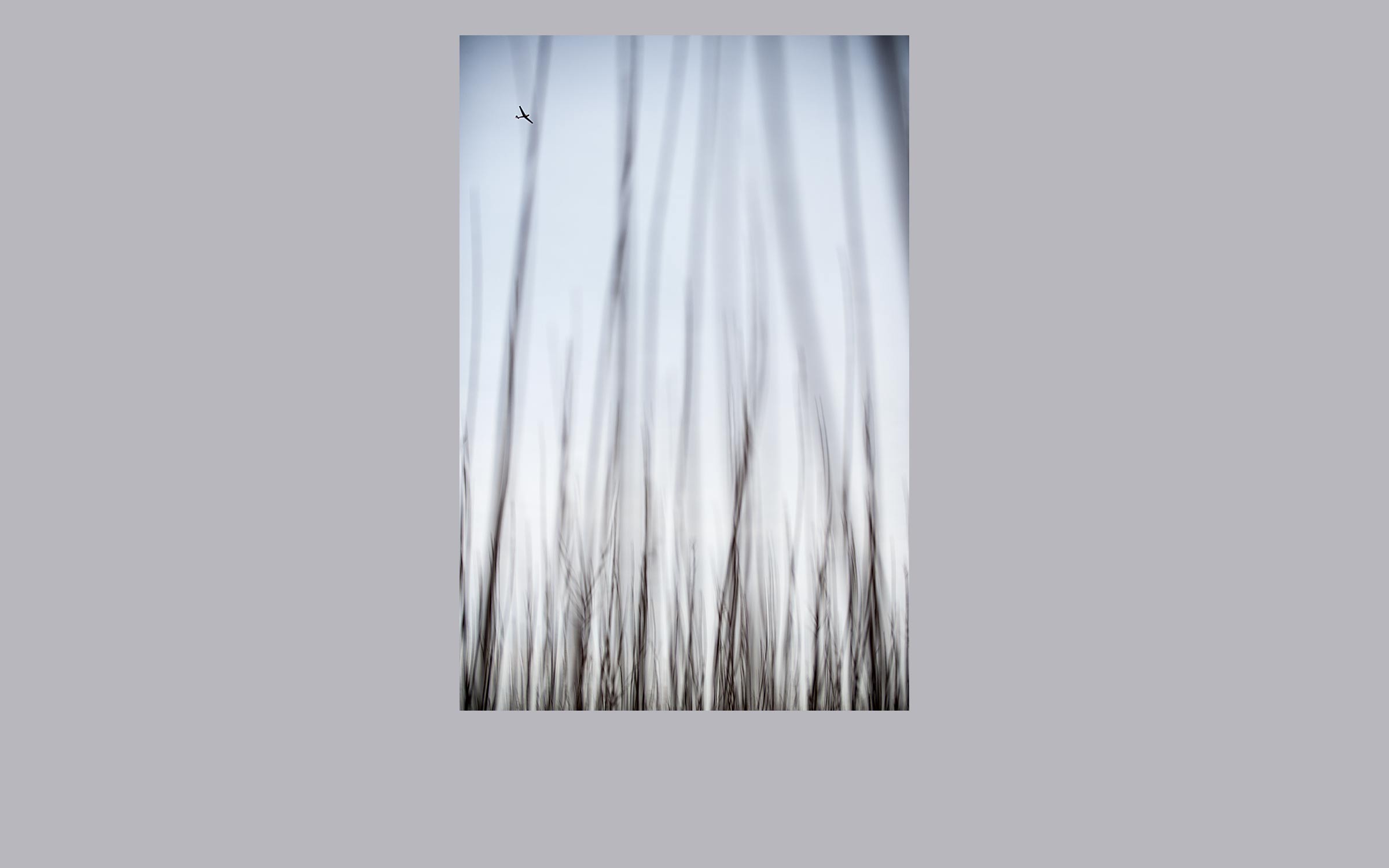 lorem ipsum dolor sit