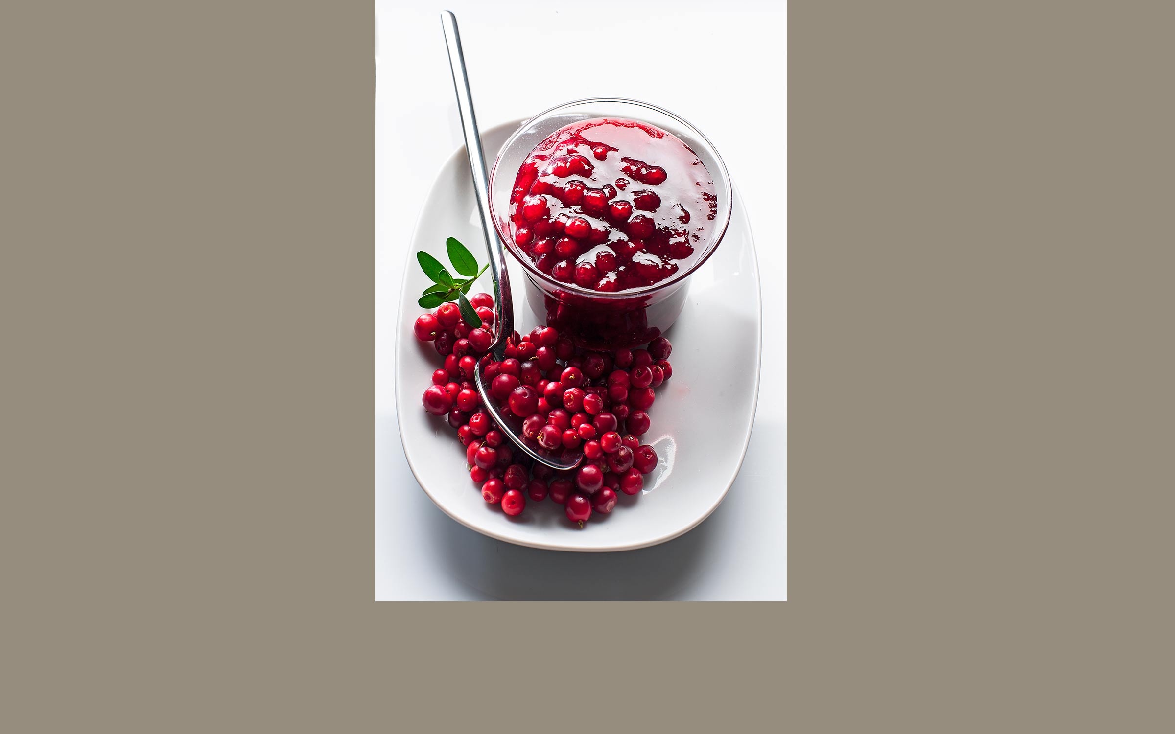 lorem ipsum dolor sit